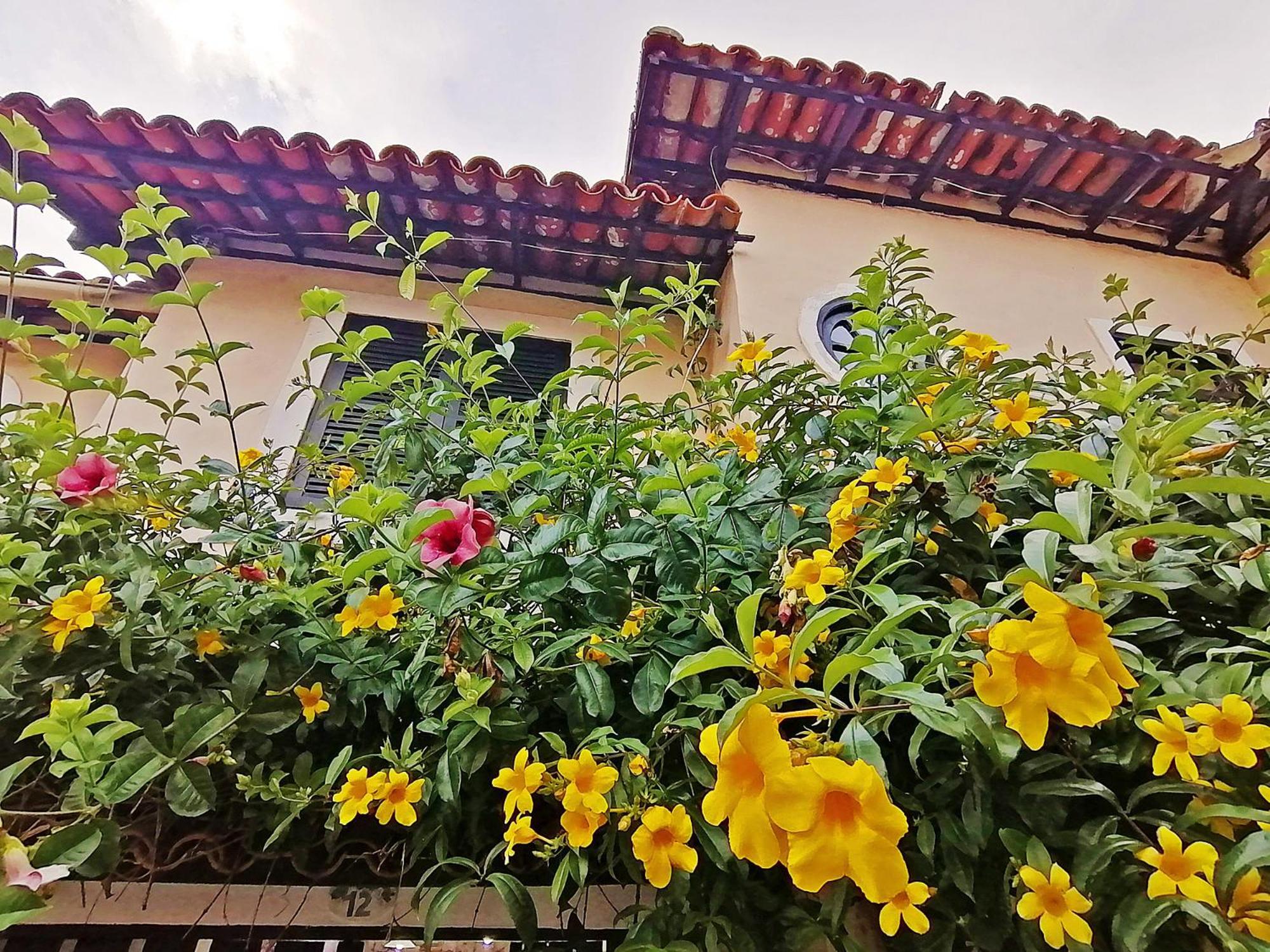 Casa A 500M Da Rua Das Pedras Em Lindo Condominio Com Portaria 24H Búzios Exteriér fotografie