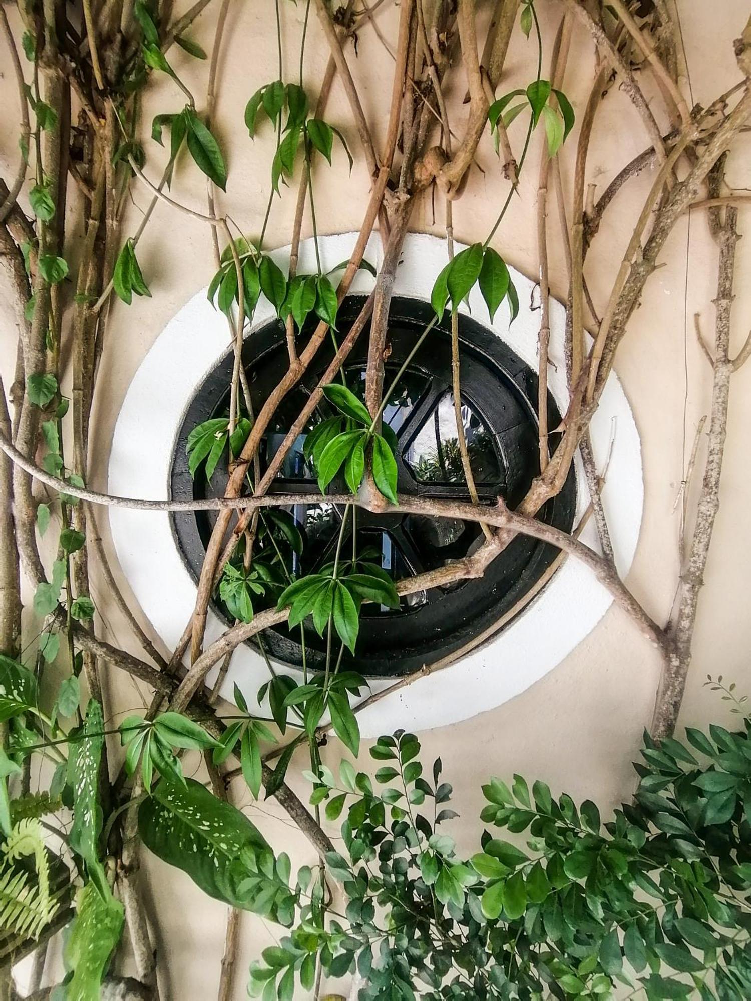 Casa A 500M Da Rua Das Pedras Em Lindo Condominio Com Portaria 24H Búzios Exteriér fotografie